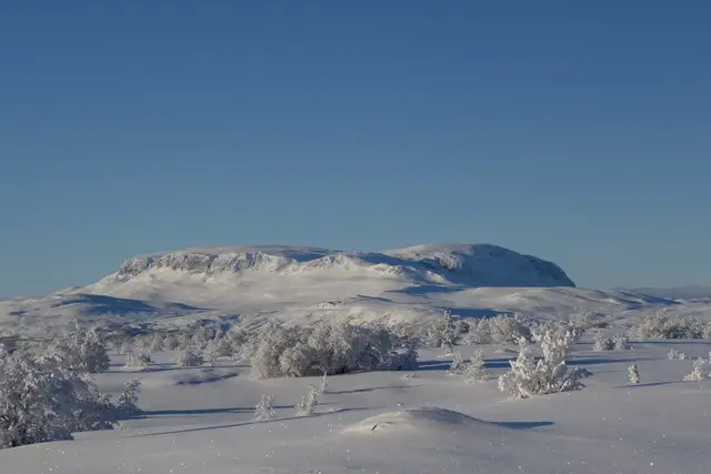Milevis med preparerte langrennsløyper i vakre omgivelser. Flere hyggelige serveringssteder langs løypene, flere av dem holder også åpent i sommersesongen.