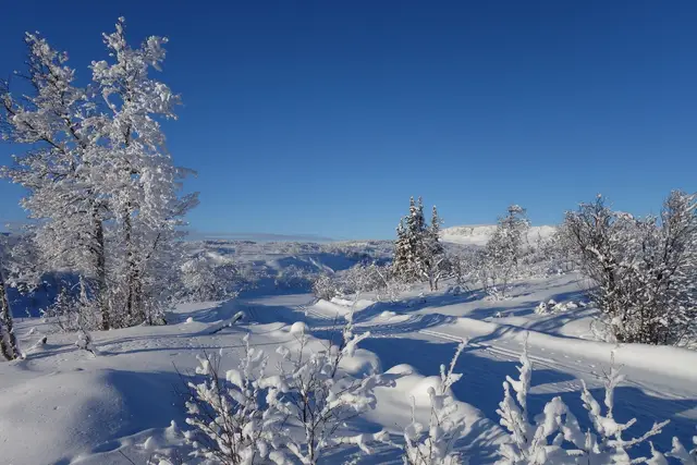 Langrennsløypene starter like utenfor døren, og skistadion ligger kun et steinkast unna.